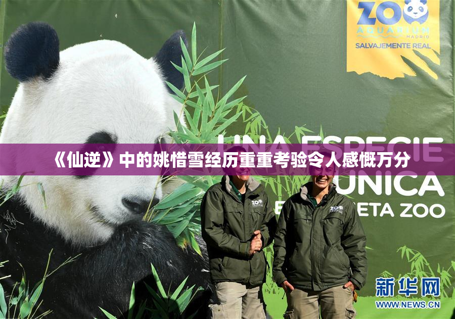 《仙逆》中的姚惜雪经历重重考验令人感慨万分