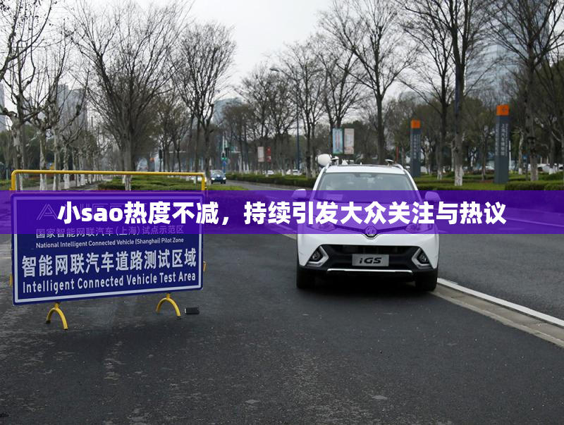 小sao热度不减，持续引发大众关注与热议