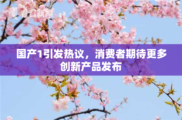 国产1引发热议，消费者期待更多创新产品发布