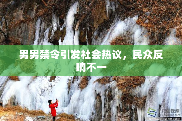 男男禁令引发社会热议，民众反响不一