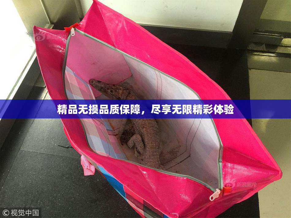 精品无损品质保障，尽享无限精彩体验