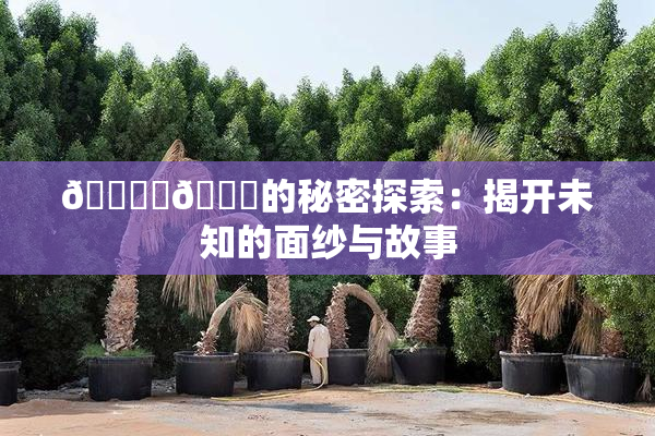 🔞‌🍌的秘密探索：揭开未知的面纱与故事