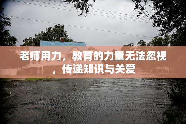 老师用力，教育的力量无法忽视，传递知识与关爱
