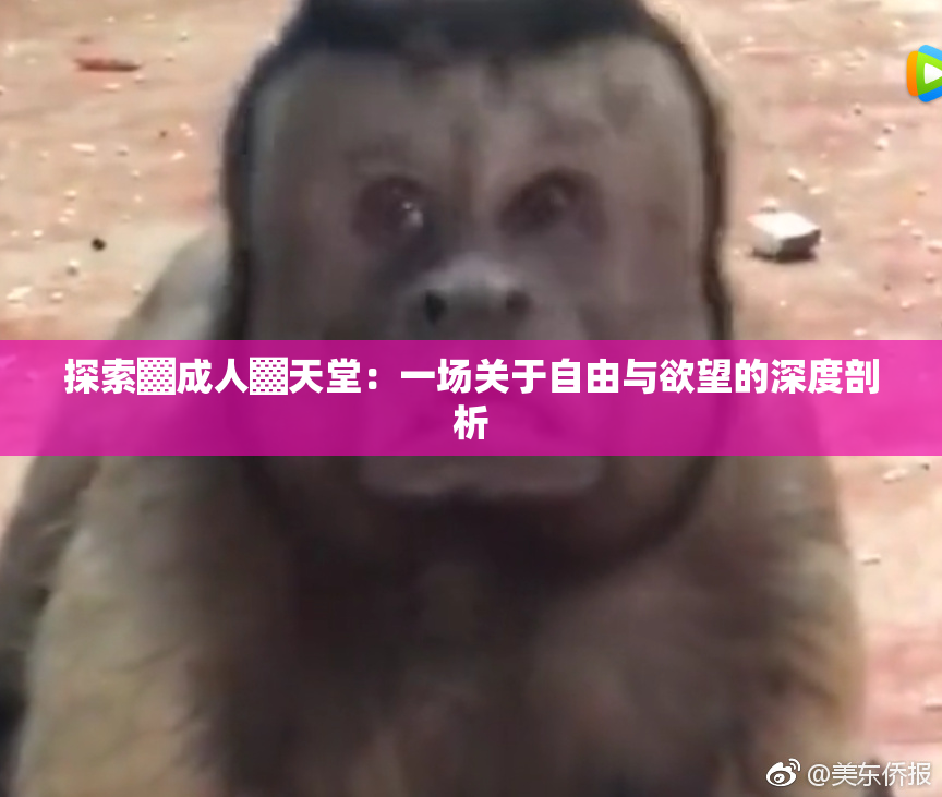 探索▓成人▓天堂：一场关于自由与欲望的深度剖析