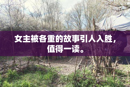 女主被各重的故事引人入胜，值得一读。