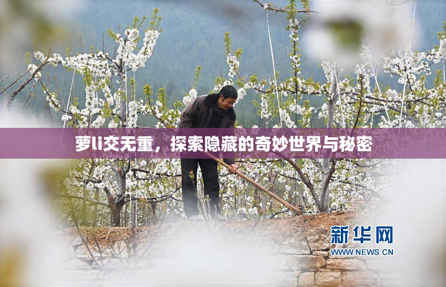 萝li交无重，探索隐藏的奇妙世界与秘密