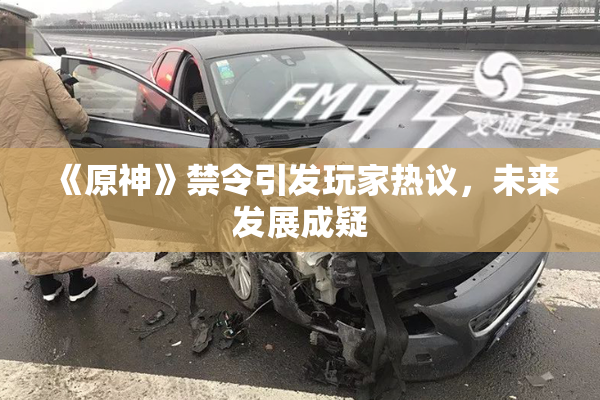 《原神》禁令引发玩家热议，未来发展成疑