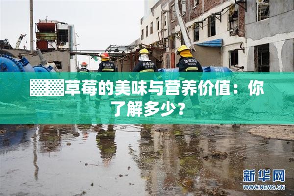 ▓▓草莓的美味与营养价值：你了解多少？
