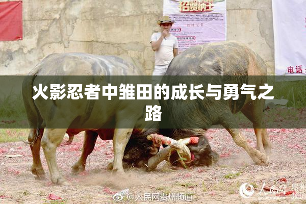 火影忍者中雏田的成长与勇气之路