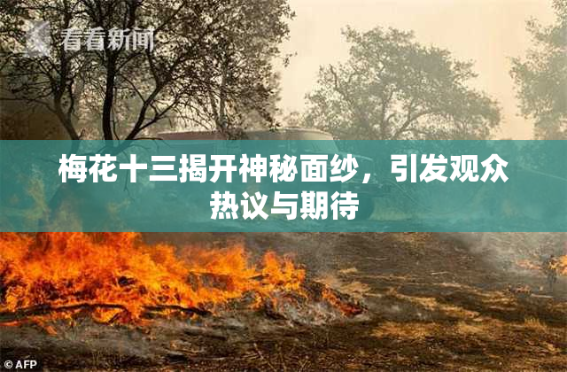 梅花十三揭开神秘面纱，引发观众热议与期待