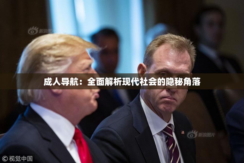 成人导航：全面解析现代社会的隐秘角落