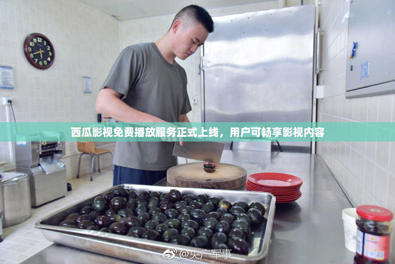 西瓜影视免费播放服务正式上线，用户可畅享影视内容
