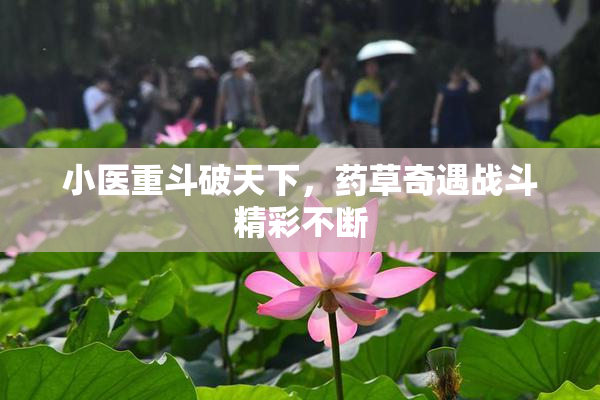 小医重斗破天下，药草奇遇战斗精彩不断