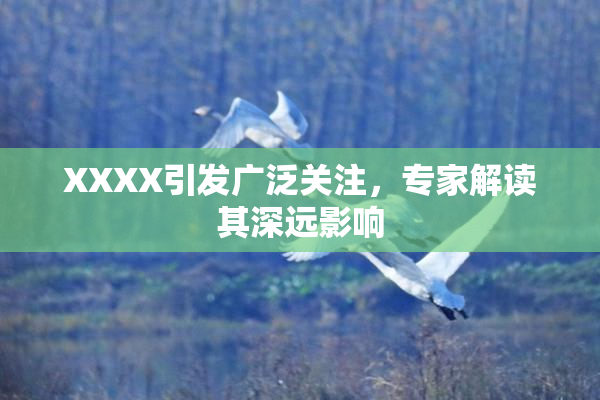 XXXX引发广泛关注，专家解读其深远影响