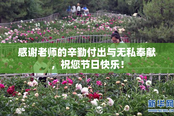 感谢老师的辛勤付出与无私奉献，祝您节日快乐！