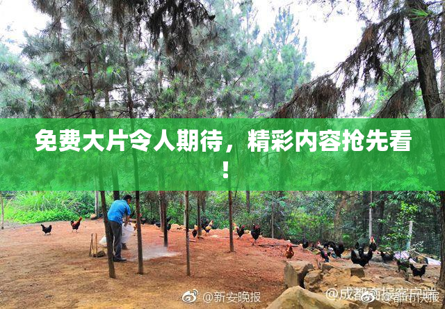 免费大片令人期待，精彩内容抢先看！