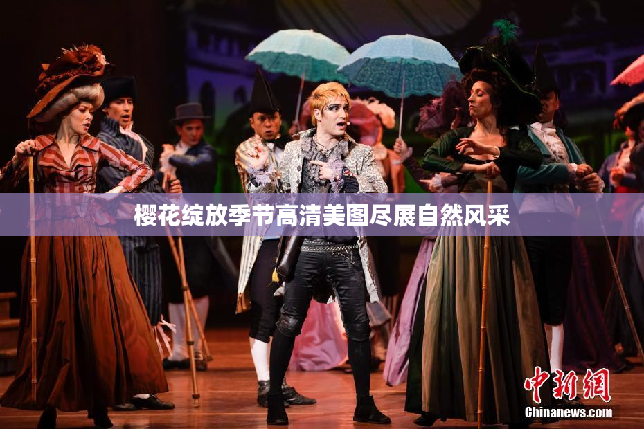 樱花绽放季节高清美图尽展自然风采