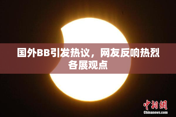 国外BB引发热议，网友反响热烈各展观点
