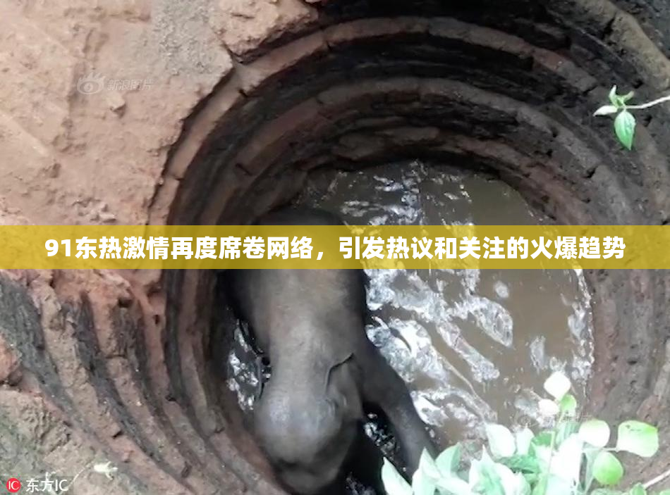 91东热激情再度席卷网络，引发热议和关注的火爆趋势