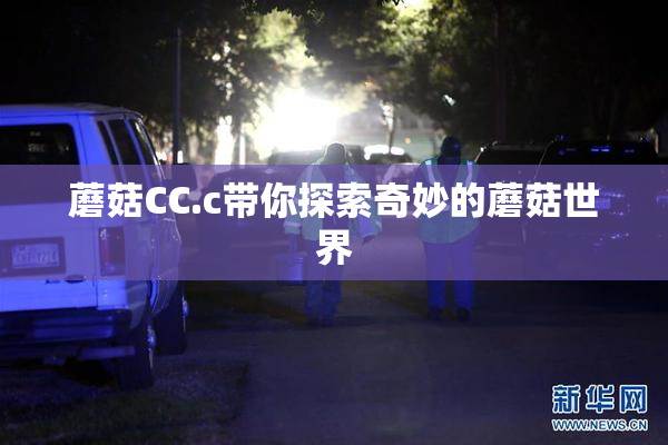 蘑菇CC.c带你探索奇妙的蘑菇世界