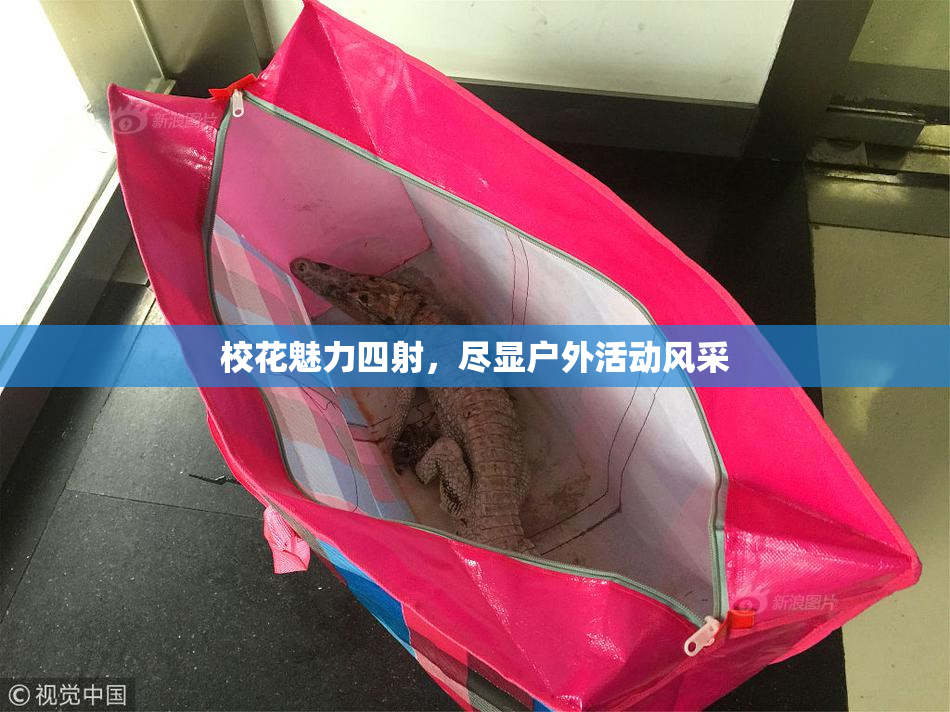 校花魅力四射，尽显户外活动风采