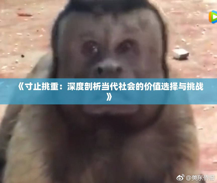《寸止挑重：深度剖析当代社会的价值选择与挑战》