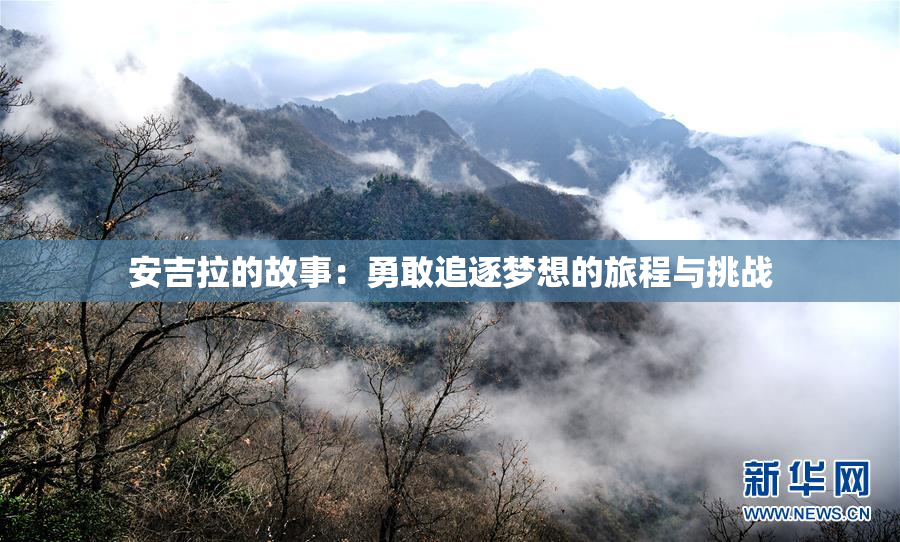 安吉拉的故事：勇敢追逐梦想的旅程与挑战
