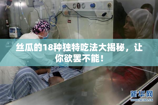 丝瓜的18种独特吃法大揭秘，让你欲罢不能！