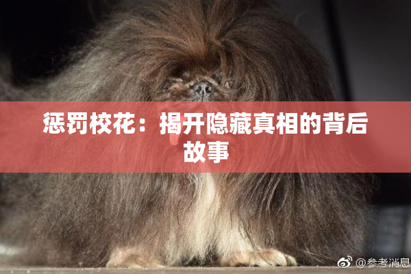 惩罚校花：揭开隐藏真相的背后故事