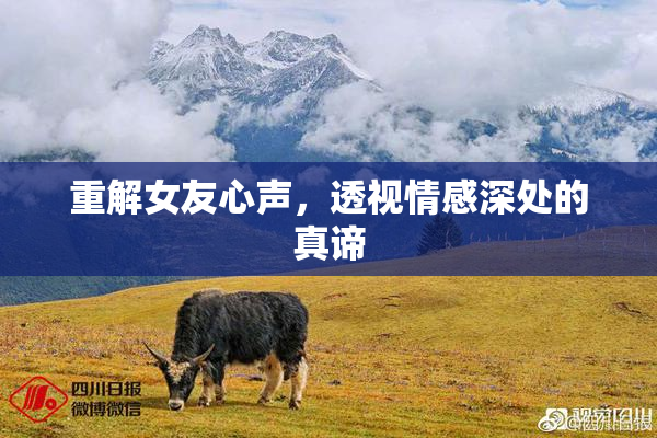 重解女友心声，透视情感深处的真谛