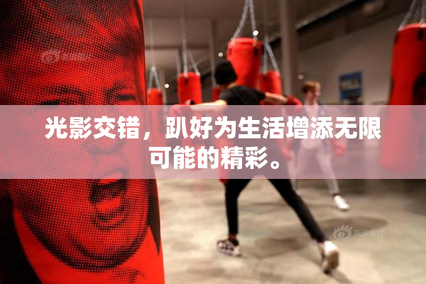 光影交错，趴好为生活增添无限可能的精彩。