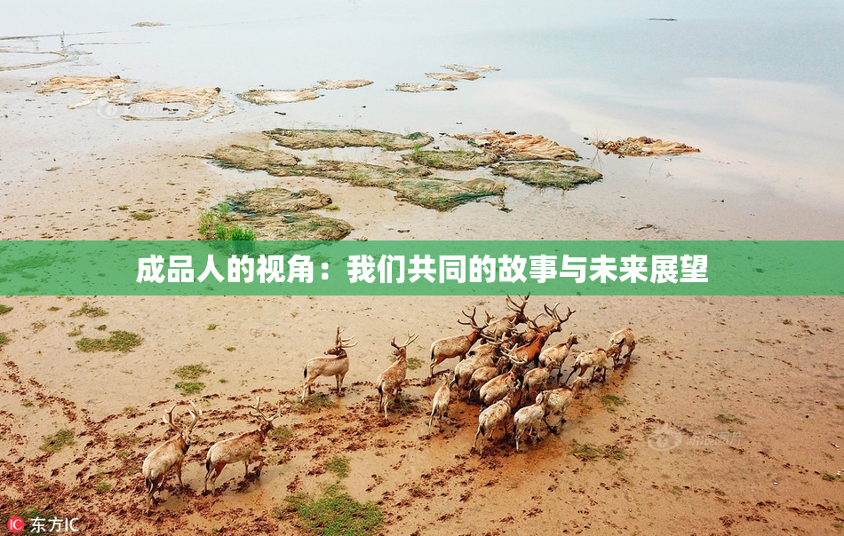 成品人的视角：我们共同的故事与未来展望