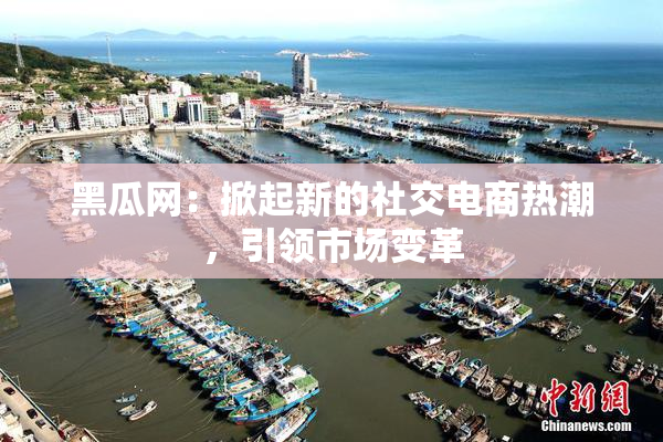 黑瓜网：掀起新的社交电商热潮，引领市场变革