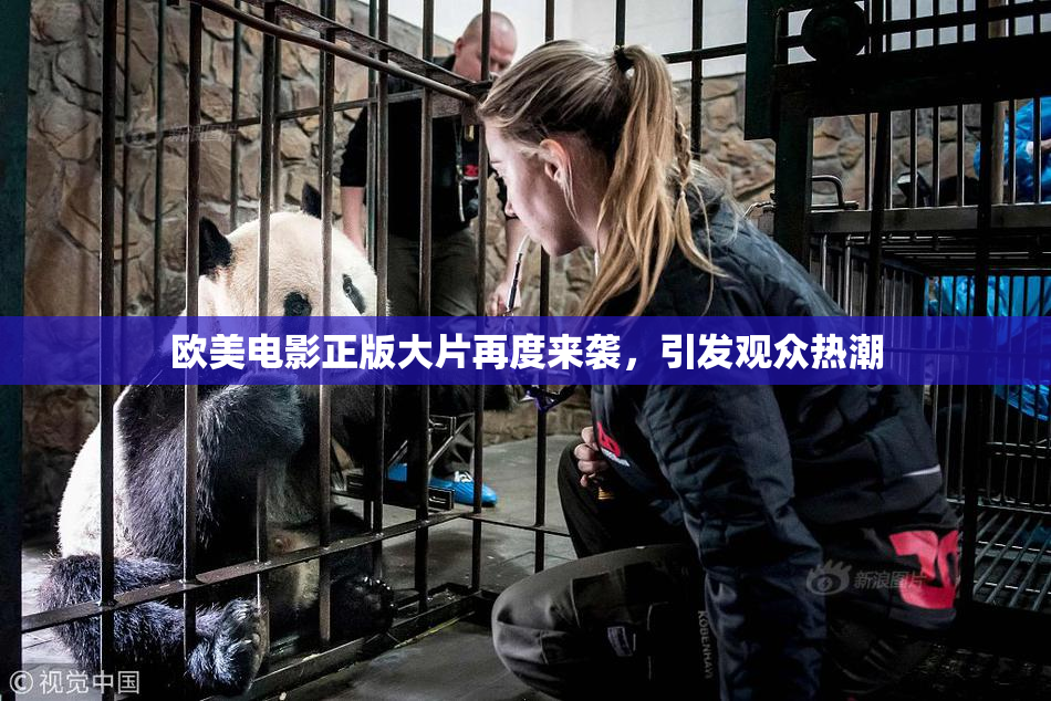 欧美电影正版大片再度来袭，引发观众热潮