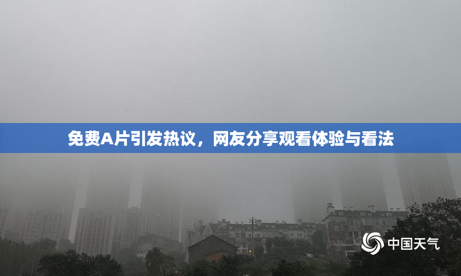 免费A片引发热议，网友分享观看体验与看法