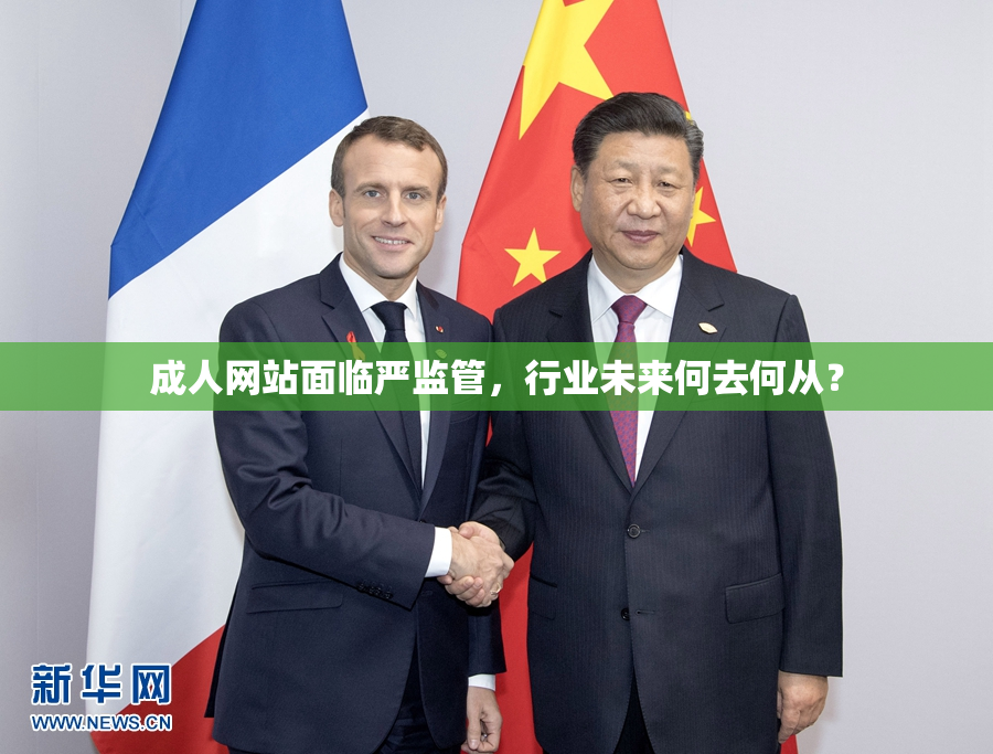 成人网站面临严监管，行业未来何去何从？