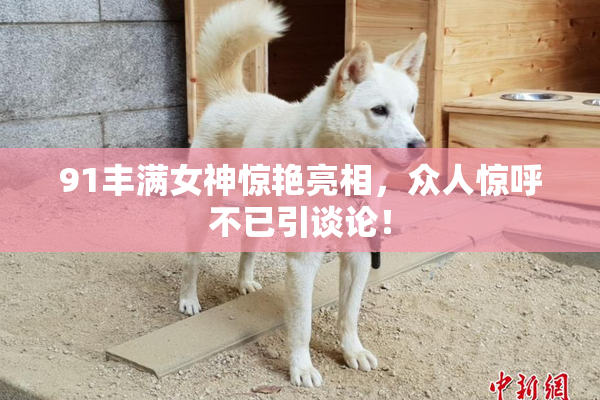 91丰满女神惊艳亮相，众人惊呼不已引谈论！