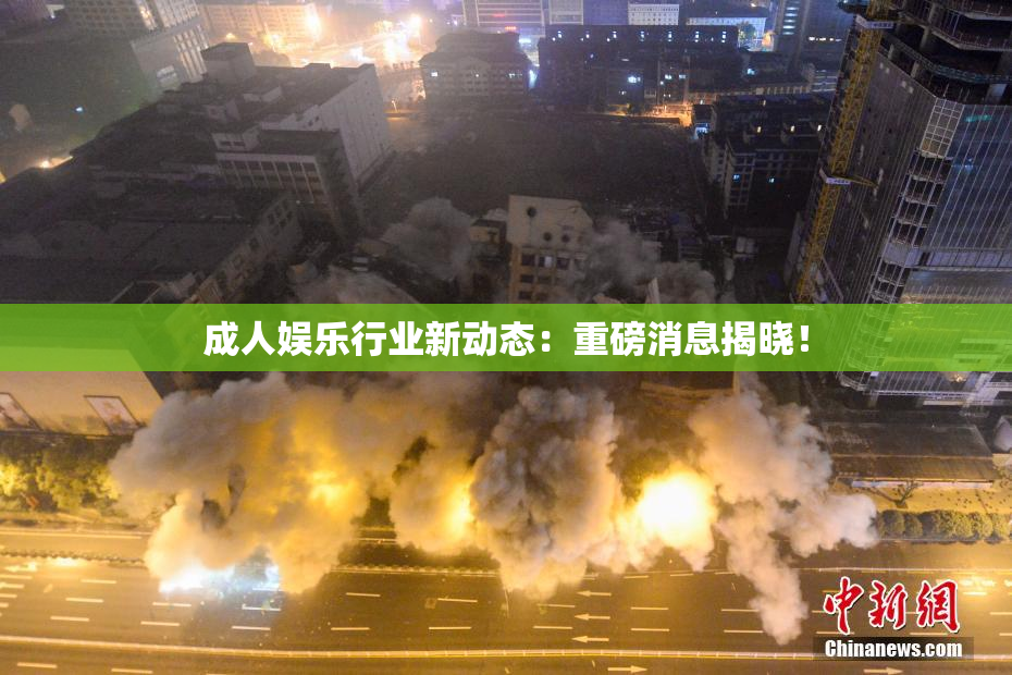 成人娱乐行业新动态：重磅消息揭晓！