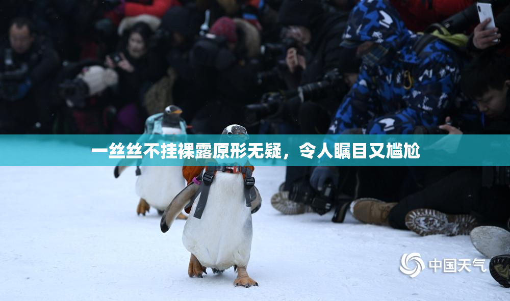 一丝丝不挂裸露原形无疑，令人瞩目又尴尬