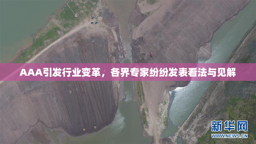 AAA引发行业变革，各界专家纷纷发表看法与见解