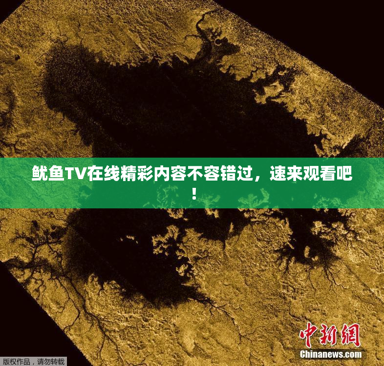 鱿鱼TV在线精彩内容不容错过，速来观看吧！