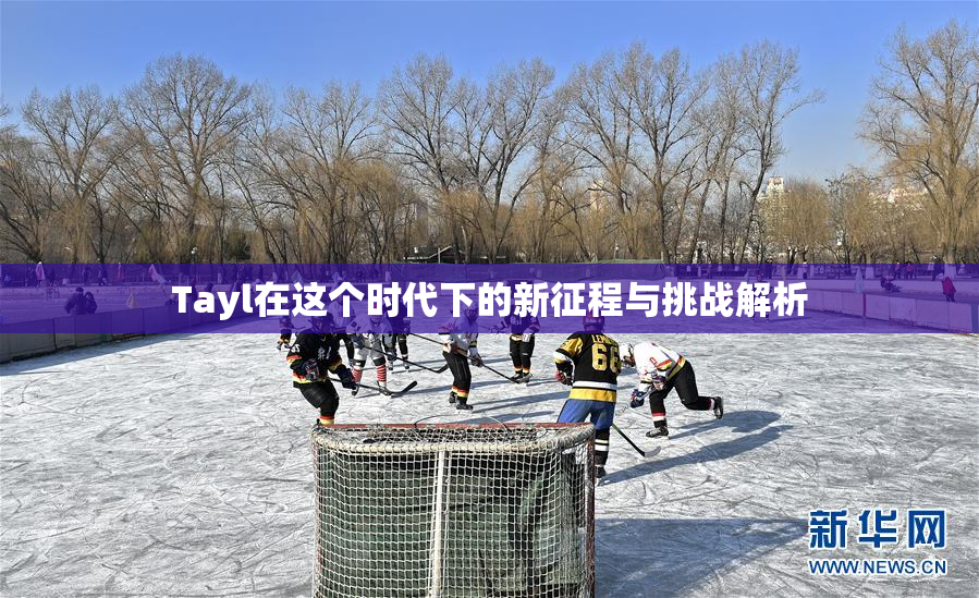 Tayl在这个时代下的新征程与挑战解析