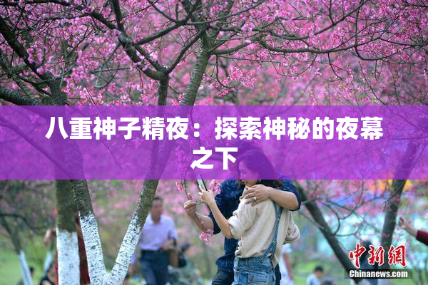 八重神子精夜：探索神秘的夜幕之下