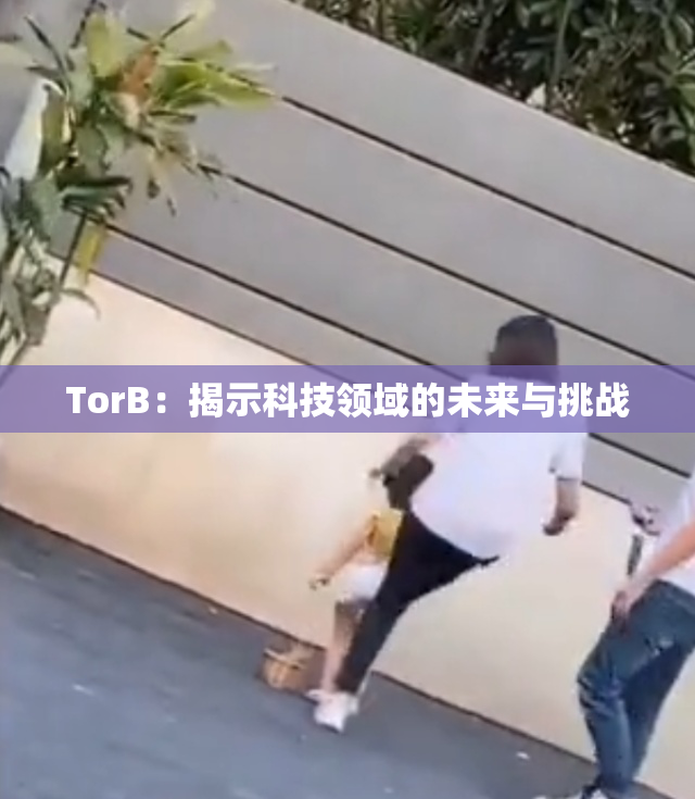 TorB：揭示科技领域的未来与挑战