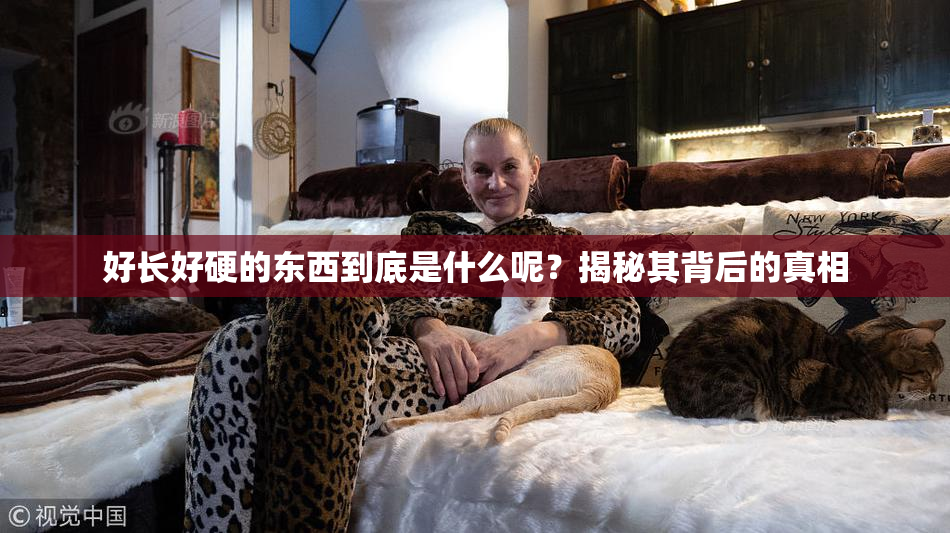 好长好硬的东西到底是什么呢？揭秘其背后的真相