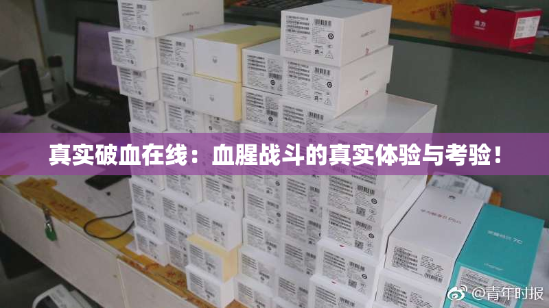 真实破血在线：血腥战斗的真实体验与考验！