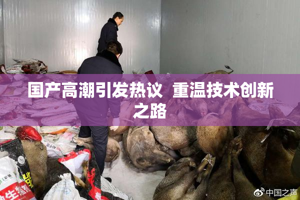 国产高潮引发热议  重温技术创新之路
