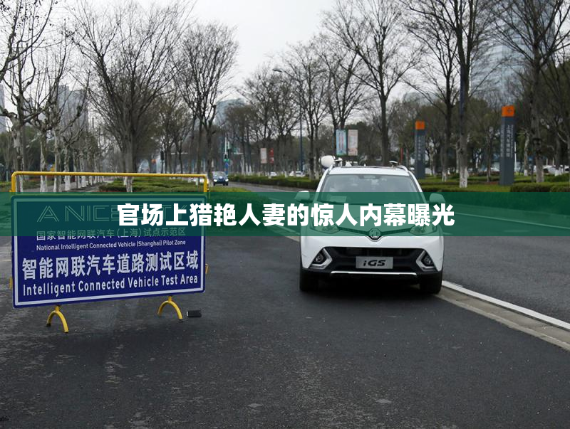 官场上猎艳人妻的惊人内幕曝光