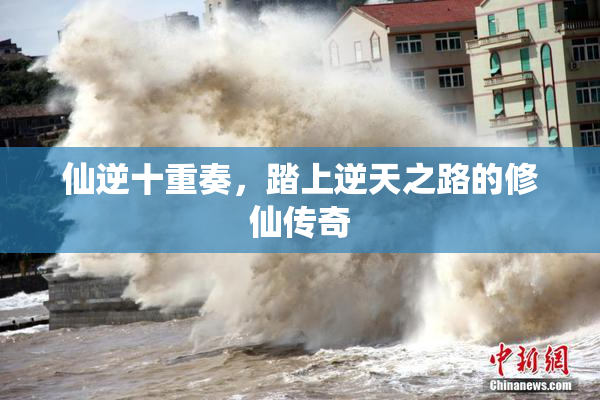 仙逆十重奏，踏上逆天之路的修仙传奇
