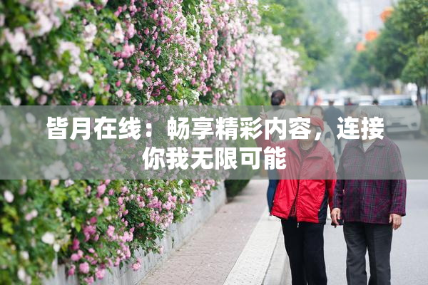 皆月在线：畅享精彩内容，连接你我无限可能